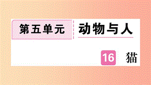 （武漢專版）2019年七年級語文上冊 第五單元 16 貓習(xí)題課件 新人教版.ppt