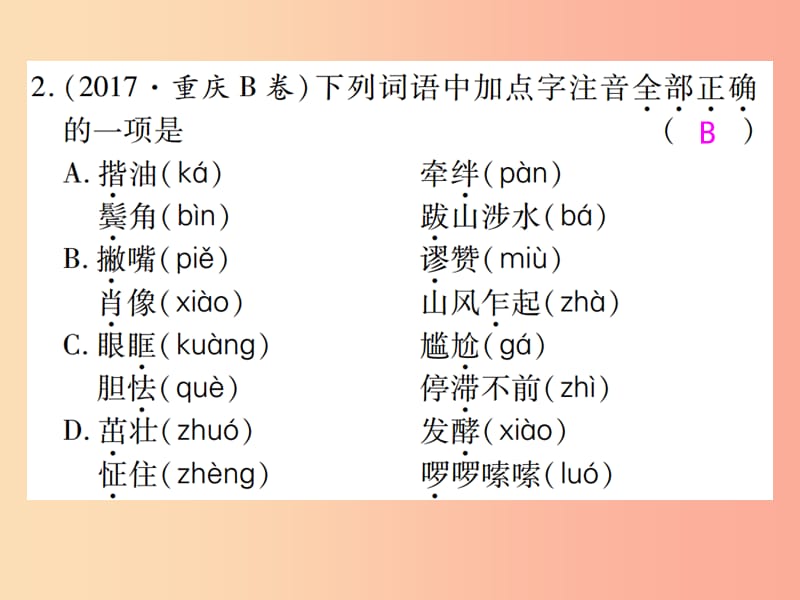 2019届中考语文复习 第一部分 语文知识及运用 专题一 字音、字形课件.ppt_第3页