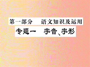 2019屆中考語文復習 第一部分 語文知識及運用 專題一 字音、字形課件.ppt