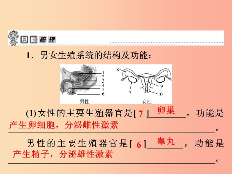 七年级生物下册 4.1.2人的生殖习题课件 新人教版.ppt_第2页