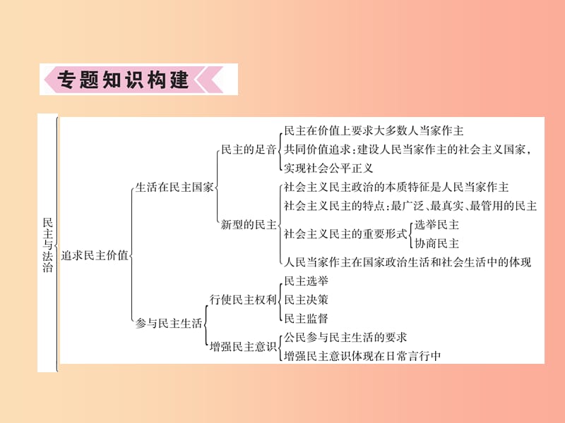 2019年九年级道德与法治上册 期末专题复习2 民主与法治习题课件 新人教版.ppt_第2页