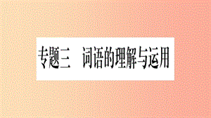 重慶市2019年中考語文 第1部分 語文知識及運用 專題3 詞語的理解與運用習題課件.ppt