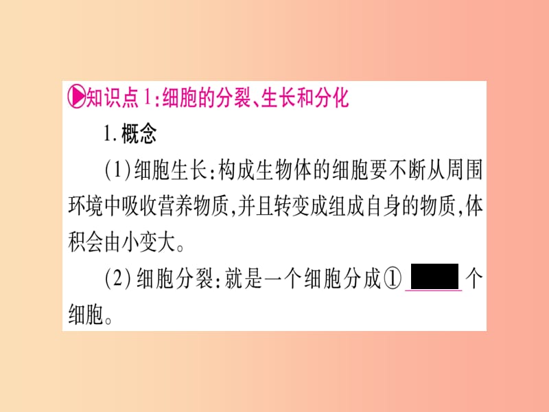 （玉林专版）2019年中考生物总复习 七上 第2单元 第2章 细胞怎样构成生物体课件.ppt_第2页