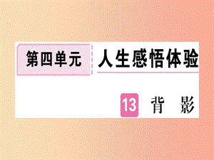 （河南專用）八年級(jí)語(yǔ)文上冊(cè) 第四單元 13 背影習(xí)題課件 新人教版.ppt