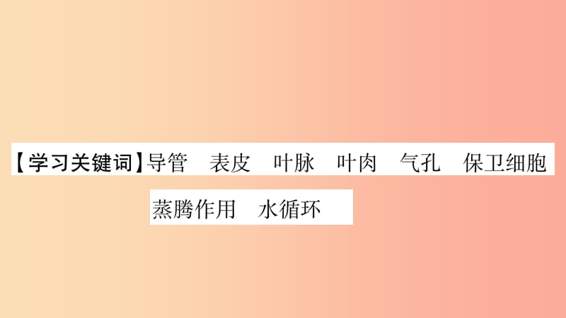 2019秋七年级生物上册第3单元第3章绿色植物与生物圈的水循环习题课件 新人教版.ppt_第2页