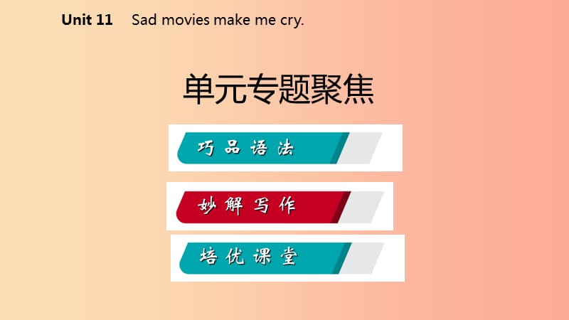九年级英语全册 Unit 11 Sad movies make me cry专题聚焦课件 新人教版.ppt_第2页