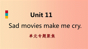 九年级英语全册 Unit 11 Sad movies make me cry专题聚焦课件 新人教版.ppt