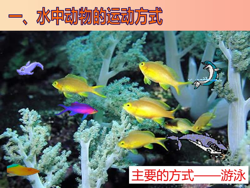 八年级生物上册 15.1《动物运动的方式》课件1 （新版）北师大版.ppt_第3页