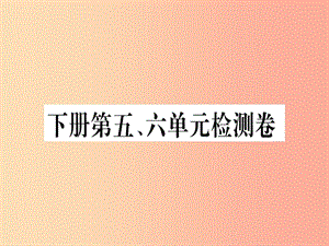 （貴州專版）2019年九年級語文下冊 第五、六單元檢測卷課件 新人教版.ppt