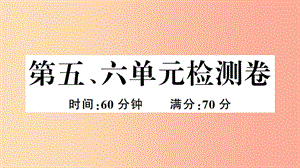 （安徽專版）2019春八年級歷史下冊 第五、六單元檢測卷習題課件 新人教版.ppt