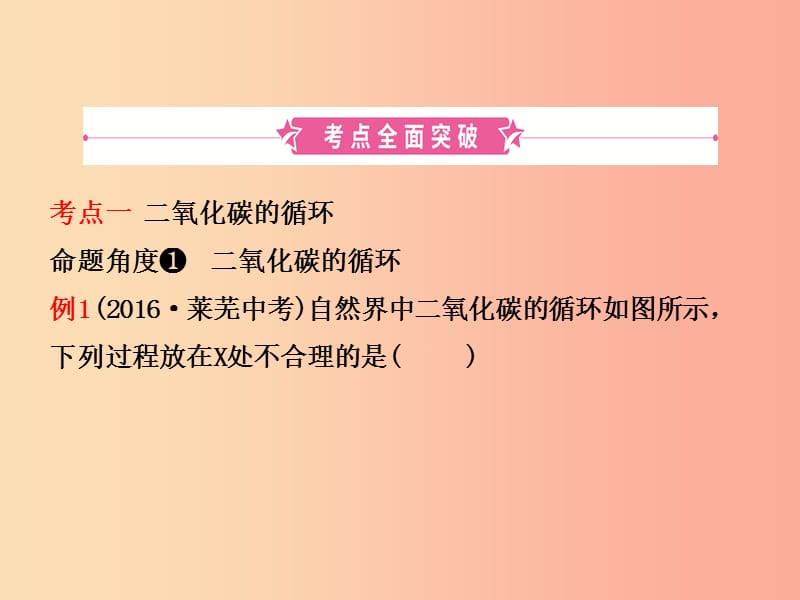 淄博专版2019届中考化学复习第六讲燃烧与燃料第2课时大自然中的二氧化碳课件.ppt_第2页