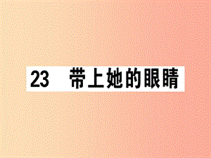 （安徽專版）2019春七年級語文下冊 第六單元 23 帶上她的眼睛習(xí)題課件 新人教版.ppt