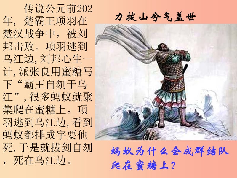 吉林省长春市八年级生物上册 第五单元 第二章 第三节 社会行为课件 新人教版.ppt_第1页