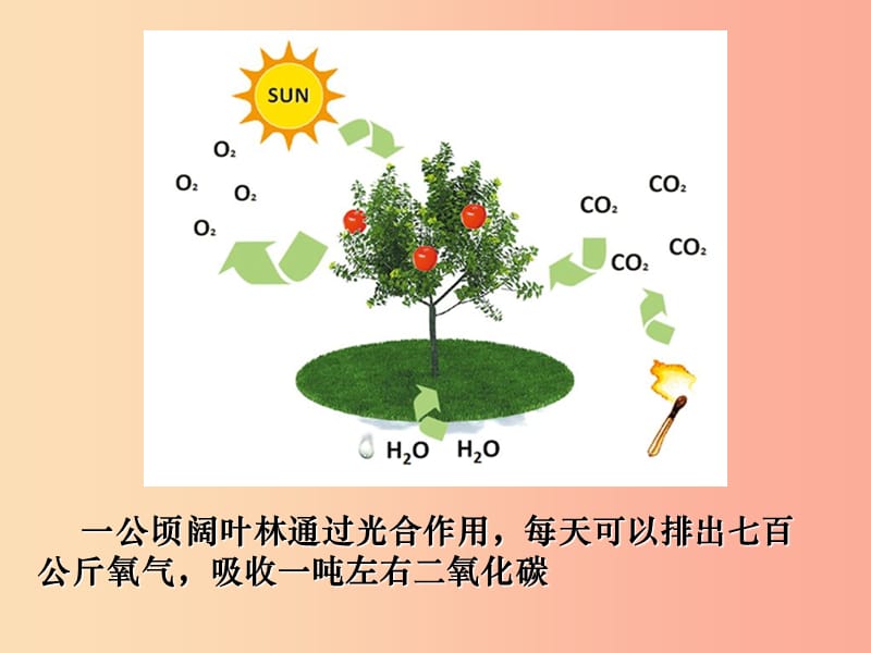 九年级化学上册第二单元课题3制取氧气第2课时课件 新人教版.ppt_第3页