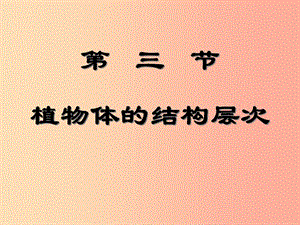 四川省七年級生物上冊 2.2.3 植物體的結(jié)構(gòu)層次課件 新人教版.ppt