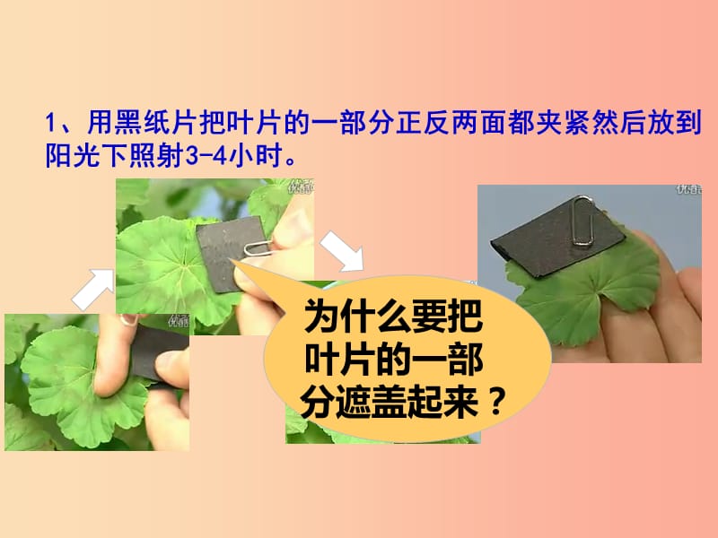 广东省佛山市中考生物 七上 光合作用和呼吸作用复习课件.ppt_第3页