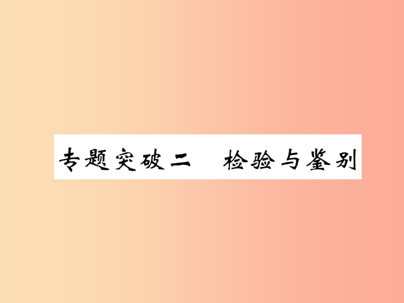 （百色專版）2019屆中考化學復習 第2編 重點專題突破篇 專題突破2 檢驗與鑒別（精講）課件.ppt_第1頁