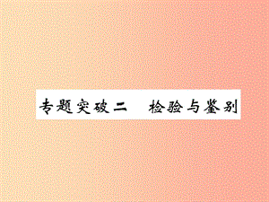 （百色專版）2019屆中考化學(xué)復(fù)習(xí) 第2編 重點專題突破篇 專題突破2 檢驗與鑒別（精講）課件.ppt