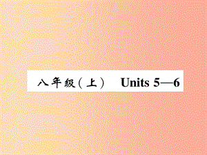 四川省南充市2019中考英語(yǔ)二輪復(fù)習(xí) 第一部分 教材知識(shí)梳理篇 八上 Units 5-6精講精練課件 人教新目標(biāo)版.ppt