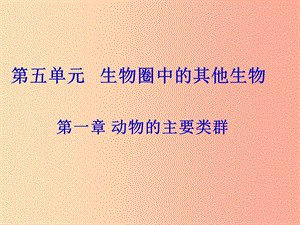 八年級生物上冊 5.1.1《腔腸動物和扁形動物》課件1 新人教版.ppt