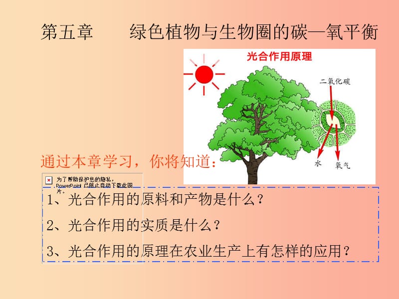 陜西省七年級生物上冊 3.5.1 光合作用吸收二氧化碳釋放氧氣課件 新人教版.ppt_第1頁