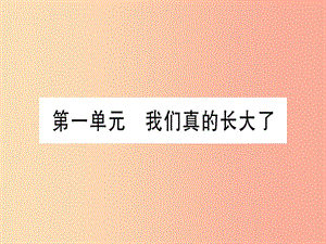 2019年中考道德與法治 第1部分 九上 第1單元 我們真的長大了課件.ppt