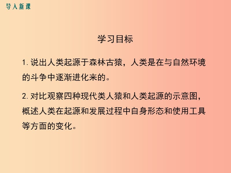 2019年春七年级生物下册 第四单元 第一章 第一节 人类的起源和发展课件 新人教版.ppt_第3页