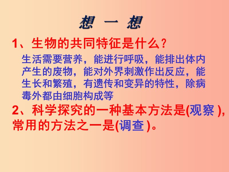 2019年七年级生物上册2.1生物与环境的关系课件1 新人教版.ppt_第1页