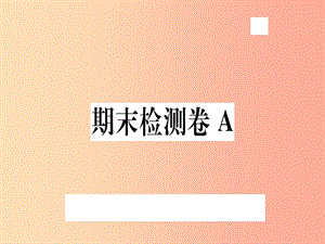 （武漢專用）2019年八年級語文上冊 期末檢測卷A習(xí)題課件 新人教版.ppt