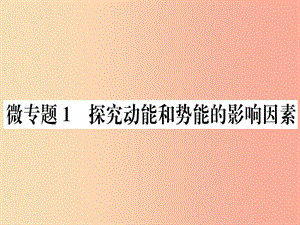 2019春八年級物理下冊 微專題1 探究動能和勢能的影響因素習題課件 新人教版.ppt