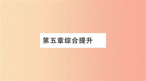 2019年七年級(jí)地理上冊(cè) 第5章 世界的居民綜合提升課件（新版）商務(wù)星球版.ppt