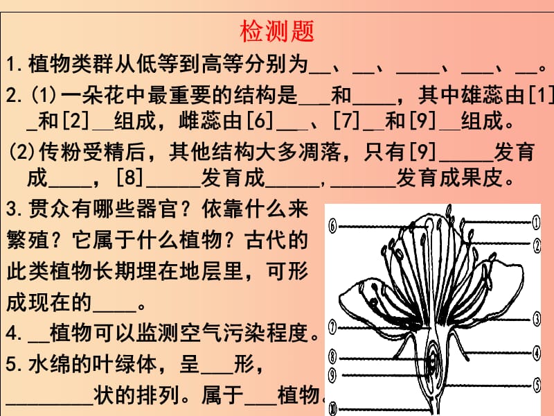 江苏省七年级生物下册 第9-10章生物多样性课件（新版）苏科版.ppt_第2页