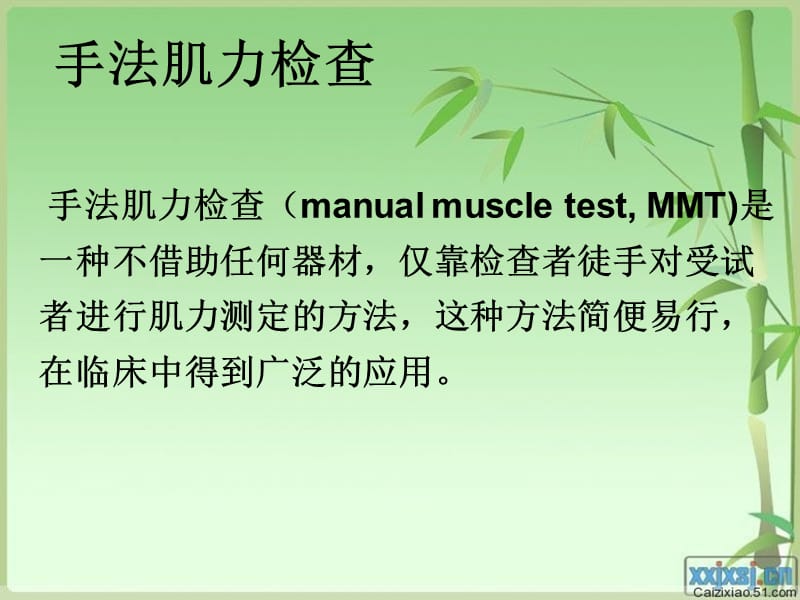 下肢肌力检查ppt课件_第2页