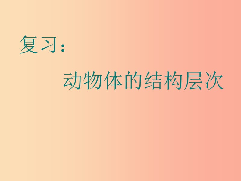 陕西省七年级生物上册 2.2.3植物体的结构层次课件2 新人教版.ppt_第2页