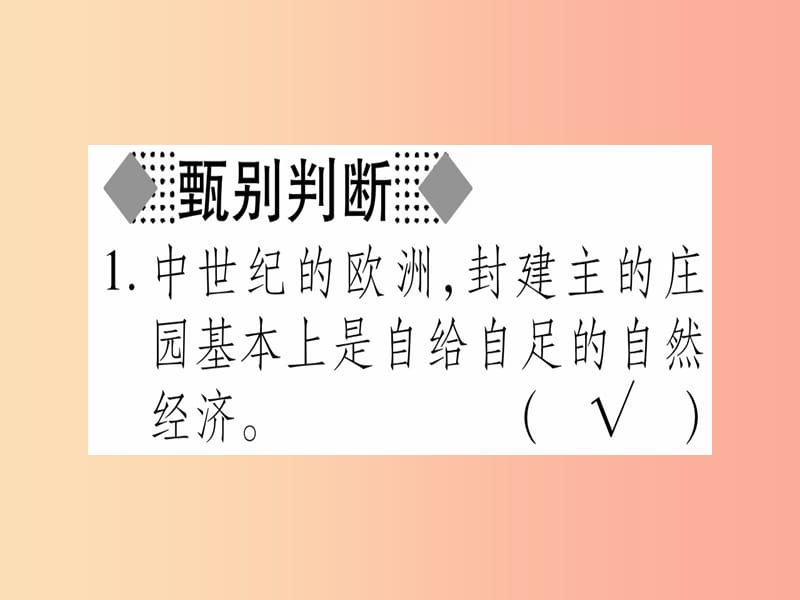 广西2019年秋九年级历史上册第3单元近代早期的西欧第11课近代早期西欧社会课件中华书局版.ppt_第2页