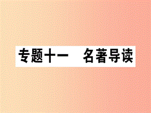 （江西專版）2019年七年級(jí)語(yǔ)文上冊(cè) 專題十一 名著導(dǎo)讀習(xí)題課件 新人教版.ppt