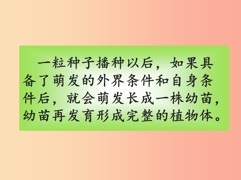 廣東省汕頭市七年級(jí)生物上冊(cè) 3.2.2植株的生長課件 新人教版.ppt_第1頁