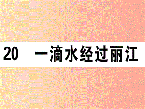 （江西專版）2019春八年級(jí)語(yǔ)文下冊(cè) 第五單元 20 一滴水經(jīng)過麗江習(xí)題課件 新人教版.ppt