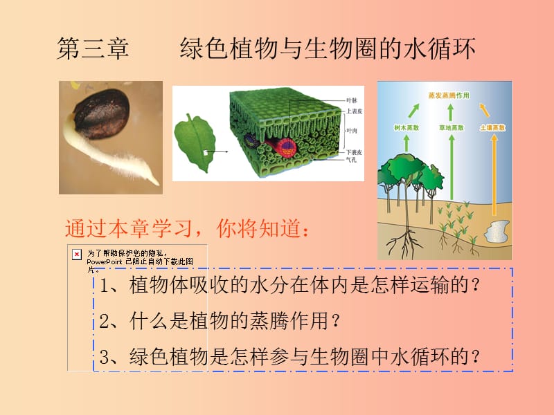 陕西省七年级生物上册 3.3 绿色植物与生物圈的水循环课件 新人教版.ppt_第1页