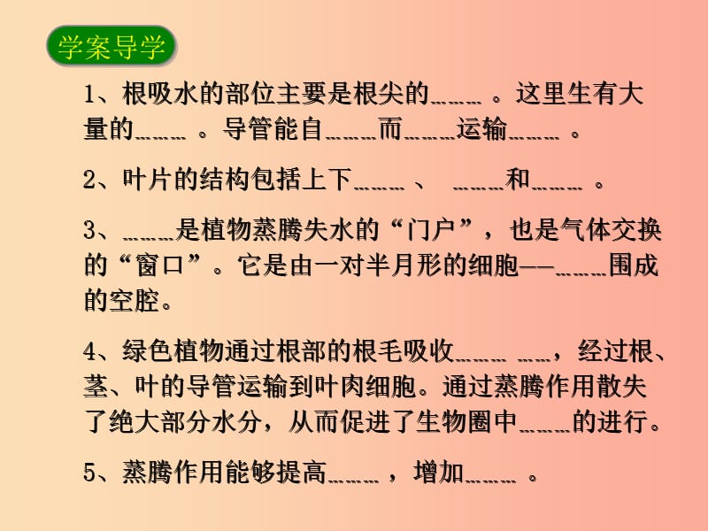 陕西省七年级生物上册 3.3 绿色植物与生物圈的水循环课件 新人教版.ppt_第2页
