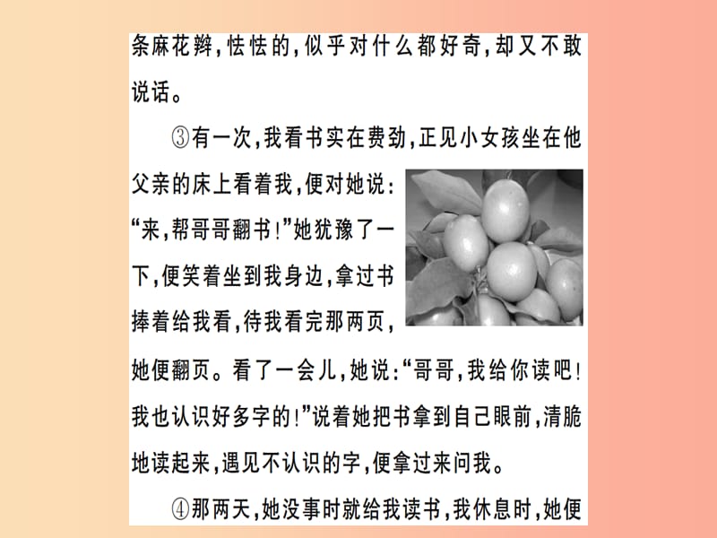 （武汉专用）2019年八年级语文上册 专题七 记叙文阅读习题课件 新人教版.ppt_第3页