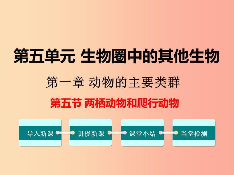 八年级生物上册第五单元第一章第五节两栖动物和爬行动物课件2 新人教版.ppt_第1页