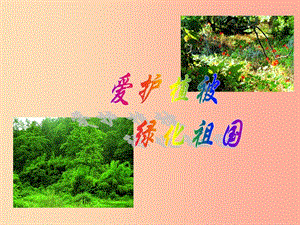 吉林省七年级生物上册3.6爱护植被绿化祖国课件 新人教版.ppt
