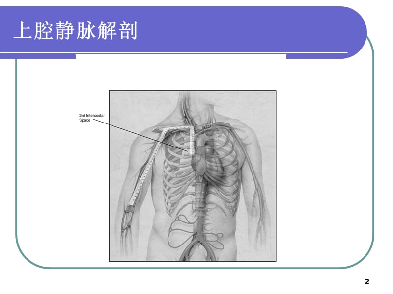 PICC管的X线定位ppt课件_第2页