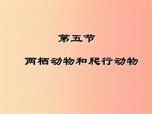 八年級(jí)生物上冊(cè)5.1.5兩棲動(dòng)物和爬行動(dòng)物課件4 新人教版.ppt