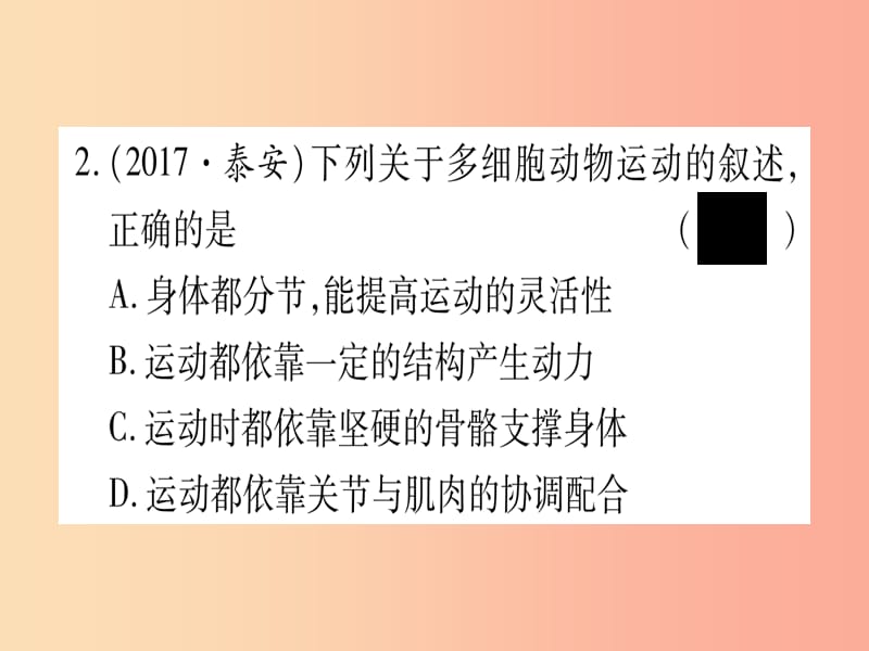 （贵港地区）2019年中考生物总复习 八上 第5单元 第15章 动物的运动习题课件.ppt_第3页