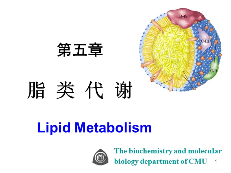 脂类代谢ppt课件_第1页