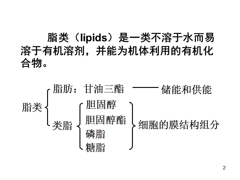 脂类代谢ppt课件_第2页