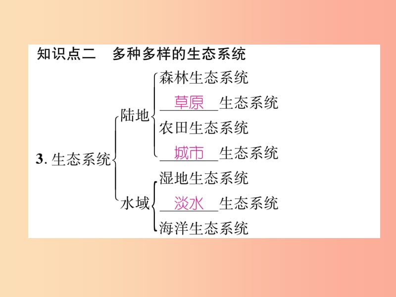 2019年七年级生物上册 1.2.3 生物圈是最大的生态系统习题课件 新人教版.ppt_第3页