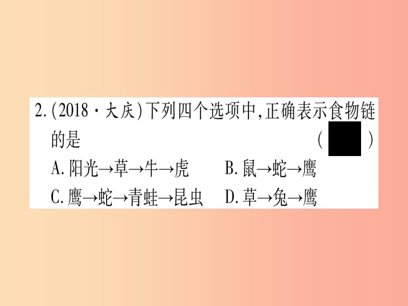 （贵港地区）2019年中考生物总复习 八上 第5单元 第17章 生物圈中的动物 第18章 生物圈中的微生物习题课件.ppt_第3页